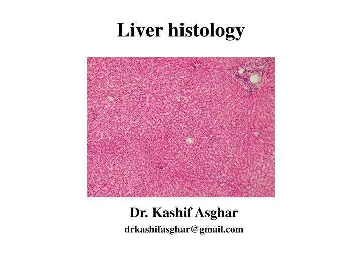 nutmeg liver histology