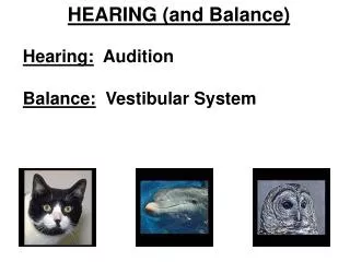 HEARING (and Balance)