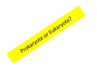 Prokaryote or Eukaryote?