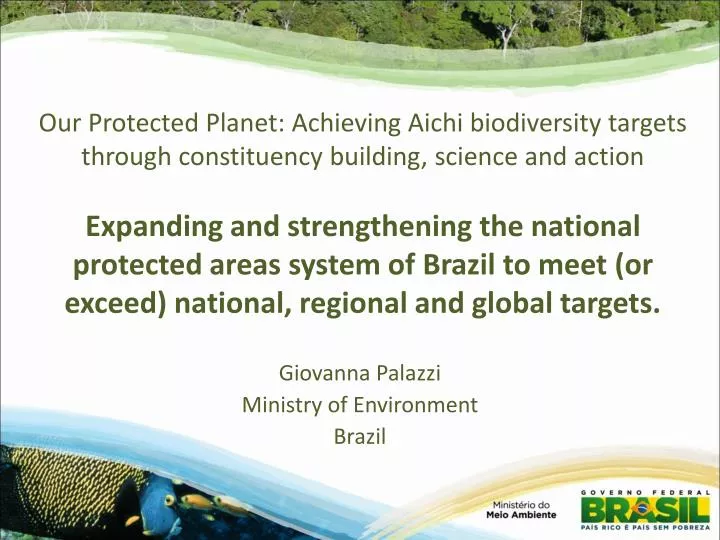 giovanna palazzi ministry of environment brazil