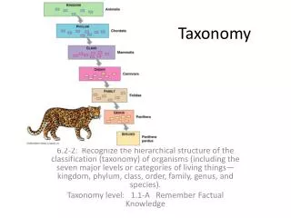 Taxonomy