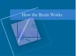 How the Brain Works - slide 1