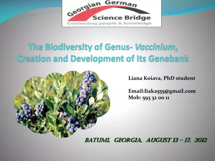 the biodiversity of genus vaccinium creation and development of its genebank
