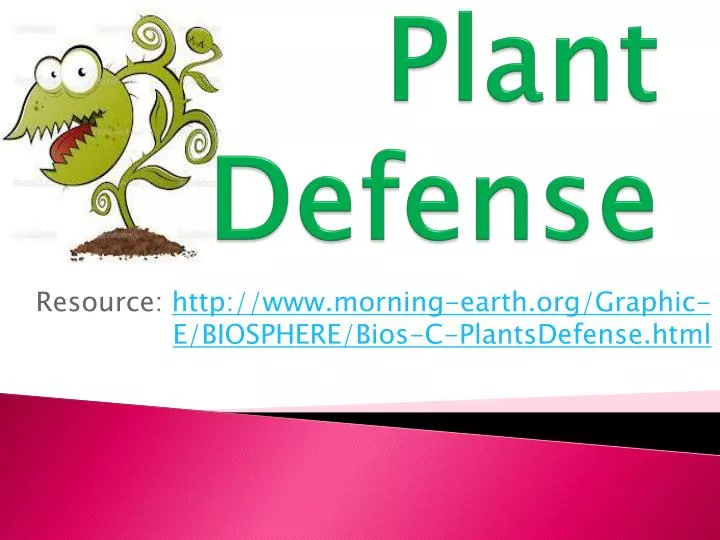 plant defense