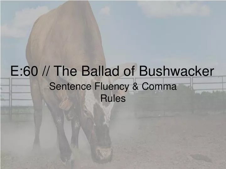 e 60 the ballad of bushwacker