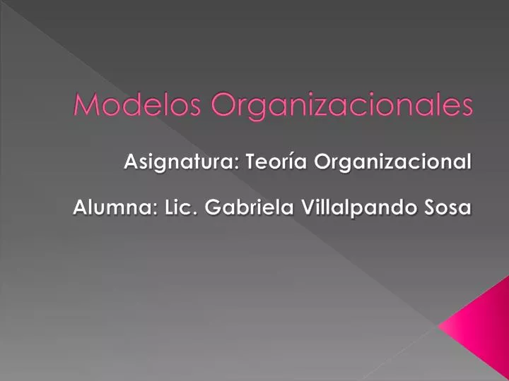 modelos organizacionales