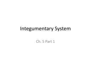 integumentary system