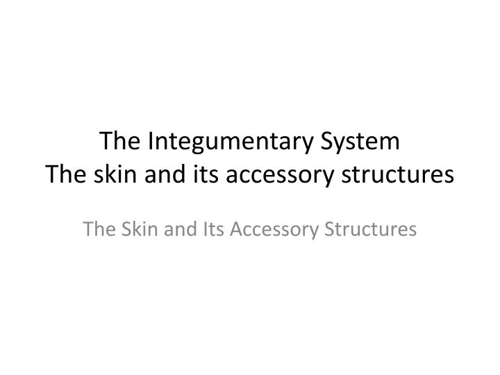 the integumentary system the skin and its accessory structures