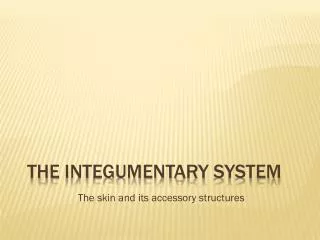 The Integumentary System