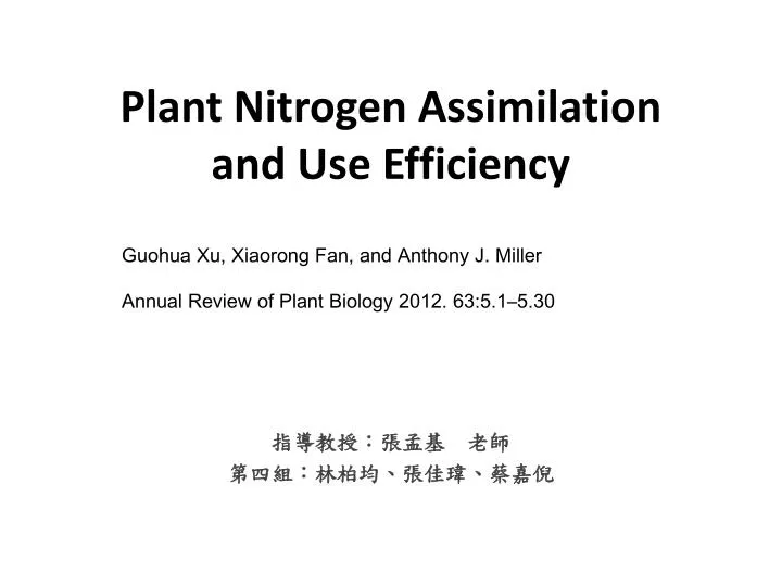 plant nitrogen assimilation and use efficiency