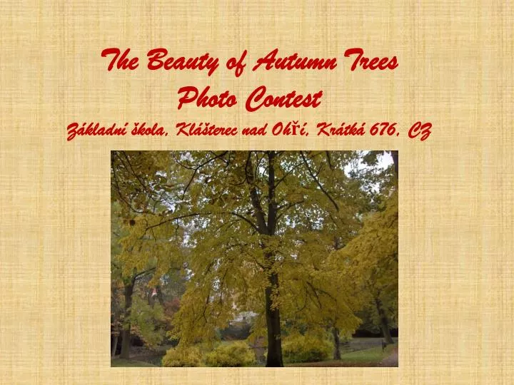 the beauty of autumn trees photo contest z kladn kola kl terec nad oh kr tk 676 cz