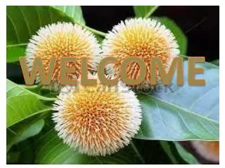WELCOME