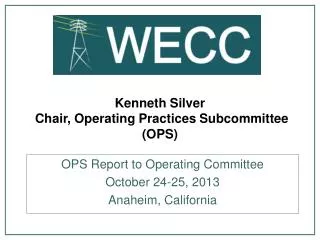 Kenneth Silver Chair, Operating Practices Subcommittee (OPS)