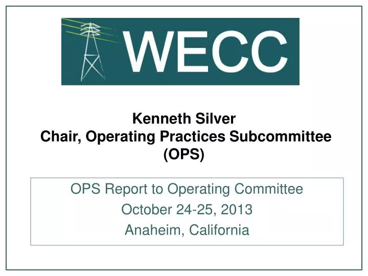 kenneth silver chair operating practices subcommittee ops