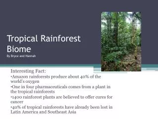 Tropical Rainforest Biome By Bryce and Hannah