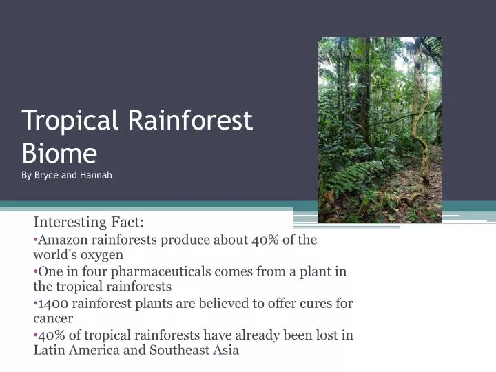 tropical rainforest biome by bryce and hannah