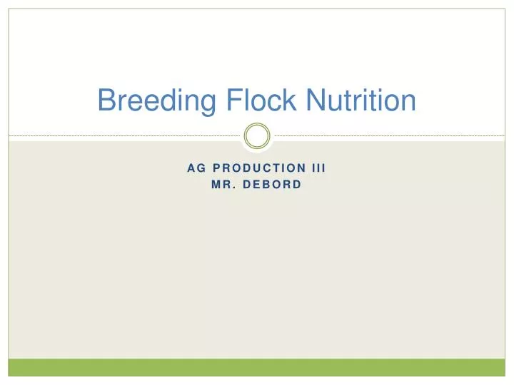 breeding flock nutrition
