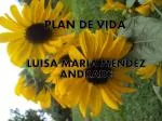 PLAN DE VIDA - slide 1