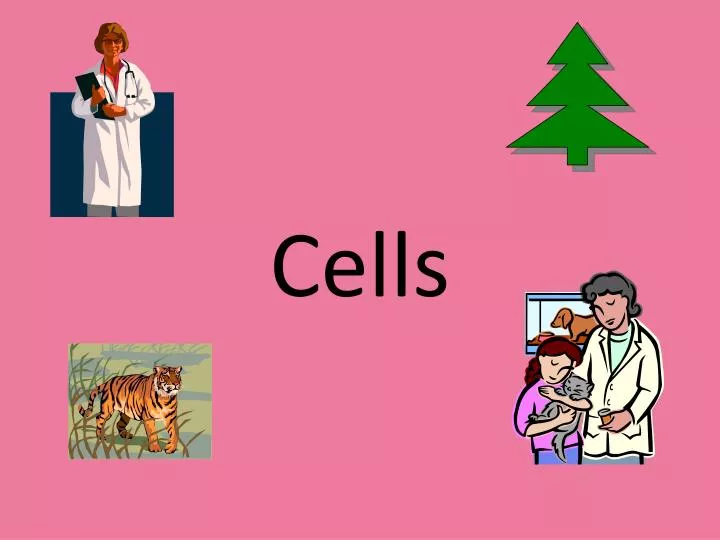 cells