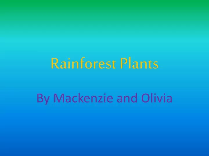 rainforest plants