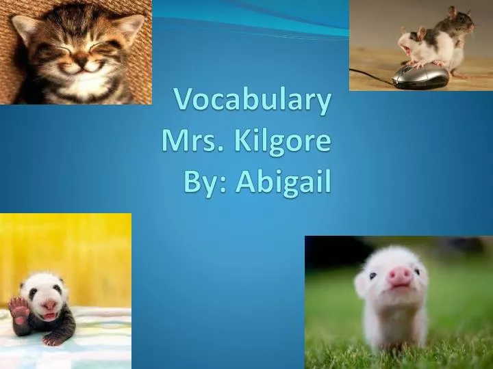 vocabulary mrs kilgore by abigail