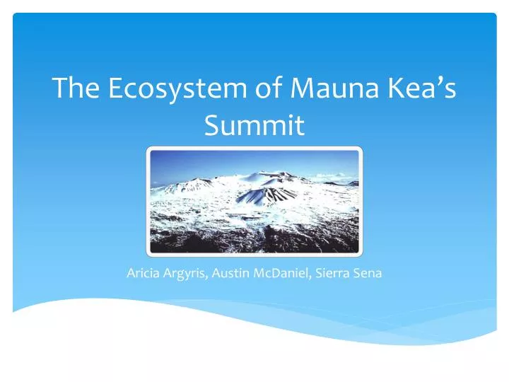 the ecosystem of mauna kea s summit