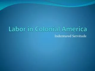 Labor in Colonial America