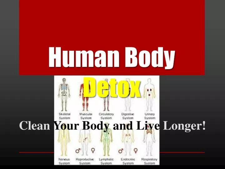 human body detox