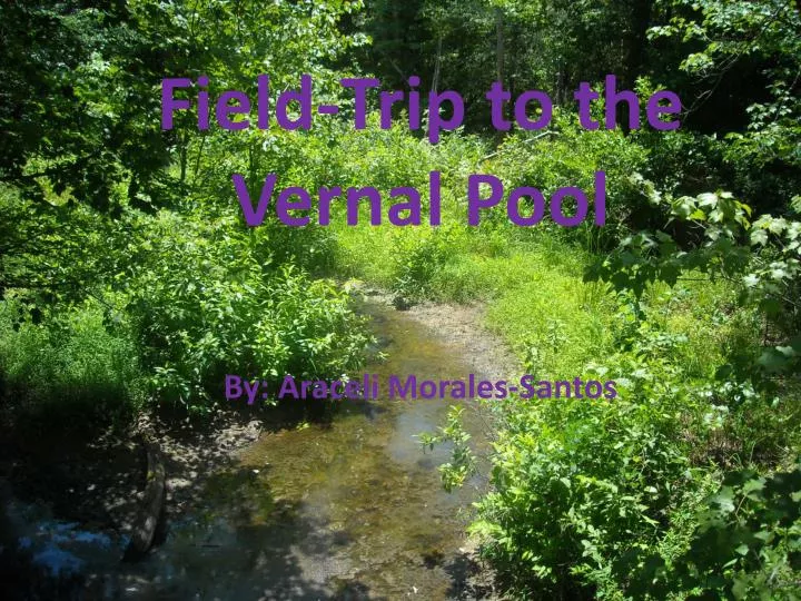field trip to the vernal pool