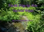Field-Trip to the Vernal Pool