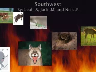 Southwest By: Leah .S, Jack .M, and Nick .P