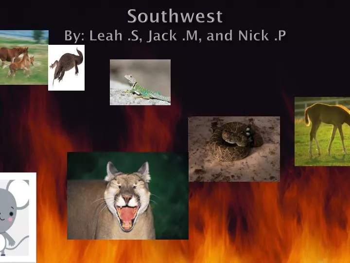 southwest by leah s jack m and nick p