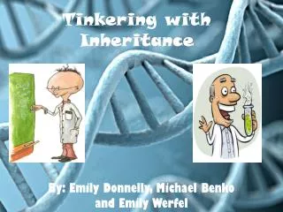 Tinkering with Inheritance