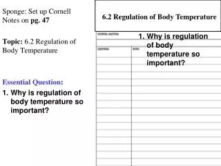 Sponge: Set up Cornell Notes on pg. 47 Topic: 6.2 Regulation of Body Temperature