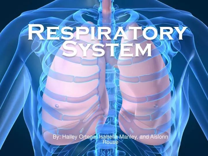 respiratory system