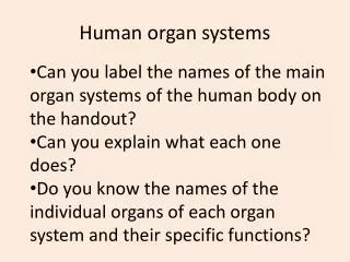 Human organ systems
