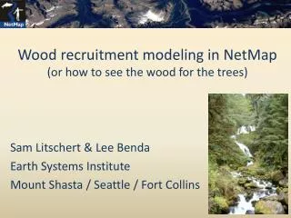 Wood recruitment modeling in NetMap (or how to see the wood for the trees)
