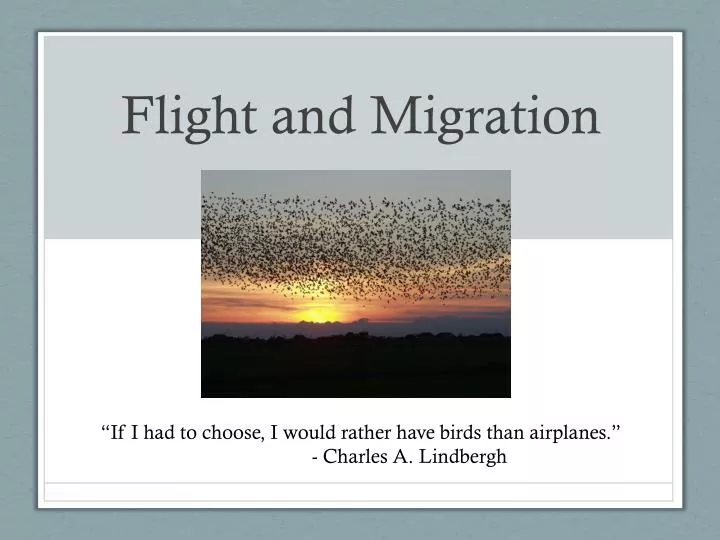 flight and migration
