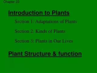 Introduction to Plants