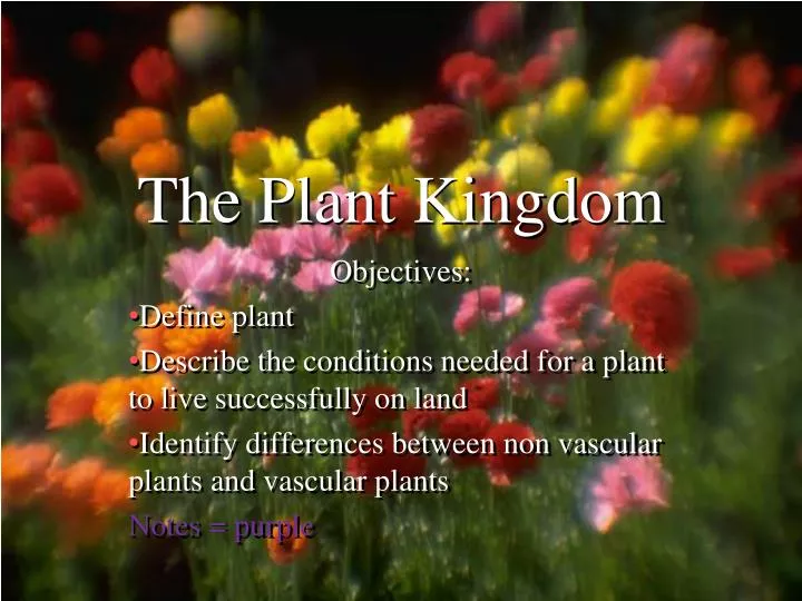 the plant kingdom