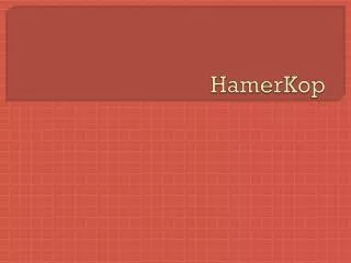 hamerkop