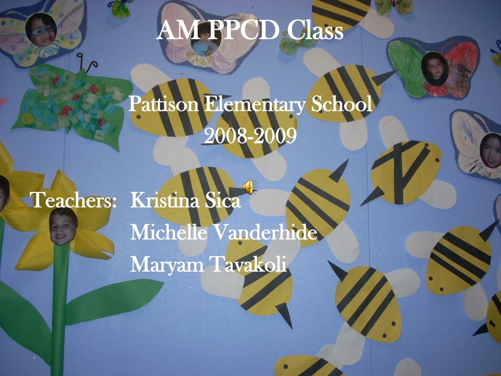 PPT - AM PPCD Class PowerPoint Presentation, free download - ID:2430109