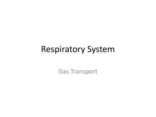 respiratory system