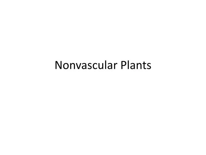 nonvascular plants