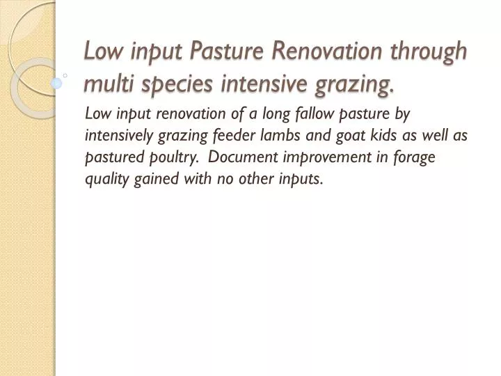 low input pasture renovation through multi species intensive grazing