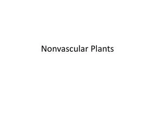 nonvascular plants
