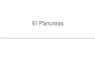 el p ncreas