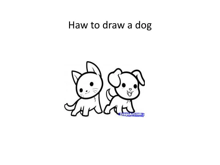 haw to draw a dog
