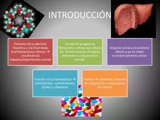 introducci n