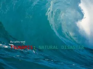 tsunamis : Natural disaster